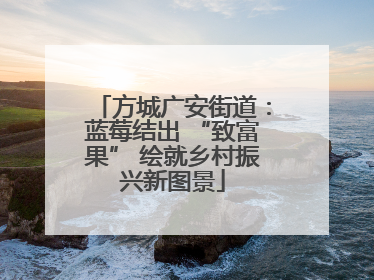 方城广安街道：蓝莓结出 “致富果” 绘就乡村振兴新图景