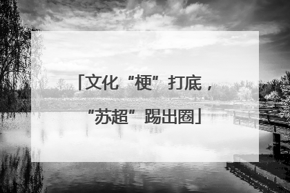 文化“梗”打底，“苏超”踢出圈