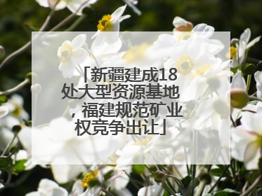 新疆建成18处大型资源基地，福建规范矿业权竞争出让