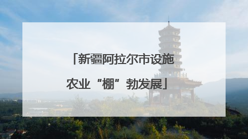 新疆阿拉尔市设施农业“棚”勃发展