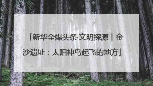 新华全媒头条·文明探源｜金沙遗址：太阳神鸟起飞的地方
