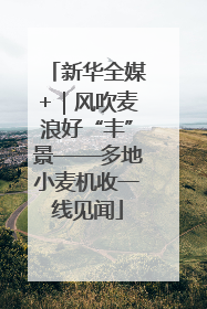 新华全媒+｜风吹麦浪好“丰”景——多地小麦机收一线见闻
