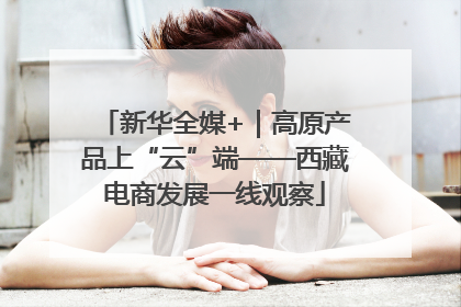 新华全媒+｜高原产品上“云”端——西藏电商发展一线观察