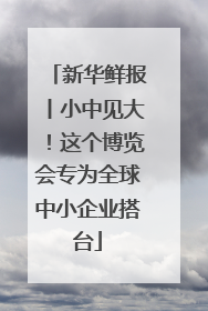 新华鲜报丨小中见大！这个博览会专为全球中小企业搭台