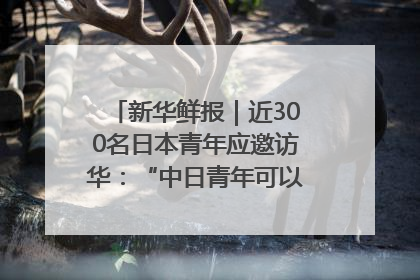 新华鲜报｜近300名日本青年应邀访华：“中日青年可以创造更好的未来”