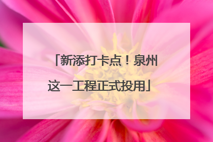 新添打卡点！泉州这一工程正式投用