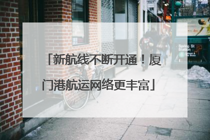 新航线不断开通！厦门港航运网络更丰富