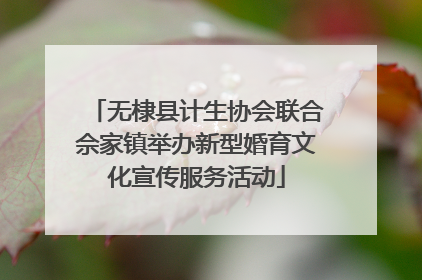 无棣县计生协会联合佘家镇举办新型婚育文化宣传服务活动