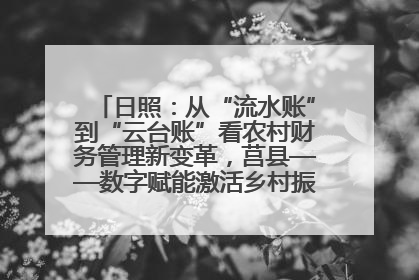 日照：从“流水账”到“云台账”看农村财务管理新变革，莒县——数字赋能激活乡村振兴“一池春水”