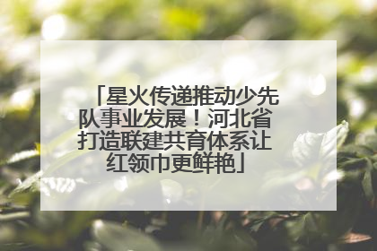 星火传递推动少先队事业发展！河北省打造联建共育体系让红领巾更鲜艳