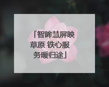 智眸慧屏映草原 铁心服务暖归途