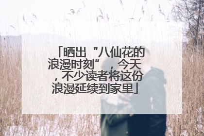 晒出“八仙花的浪漫时刻”，今天，不少读者将这份浪漫延续到家里