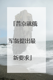 普京就俄军备提出最新要求