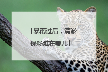 暴雨过后，清淤保畅难在哪儿