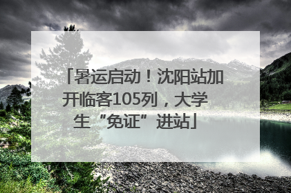 暑运启动！沈阳站加开临客105列，大学生“免证”进站