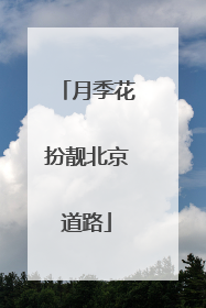 月季花扮靓北京道路