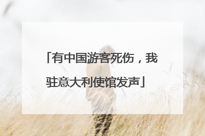 有中国游客死伤，我驻意大利使馆发声