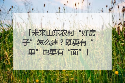未来山东农村“好房子”怎么建？既要有“里”也要有“面”