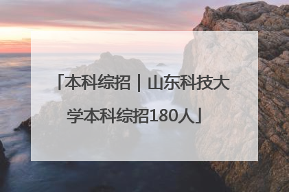 本科综招｜山东科技大学本科综招180人