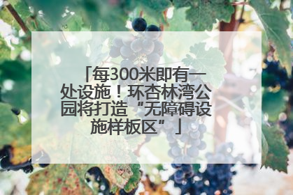 每300米即有一处设施！环杏林湾公园将打造“无障碍设施样板区”