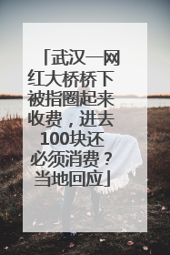 武汉一网红大桥桥下被指圈起来收费，进去100块还必须消费？当地回应