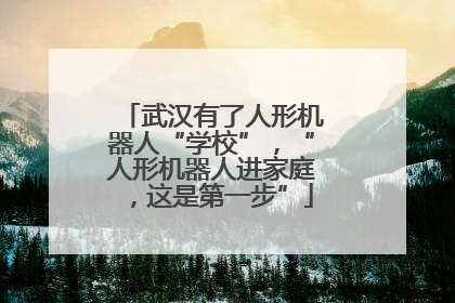 武汉有了人形机器人“学校”，“人形机器人进家庭，这是第一步”