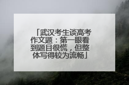 武汉考生谈高考作文题：第一眼看到题目很慌，但整体写得较为流畅