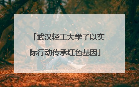 武汉轻工大学子以实际行动传承红色基因