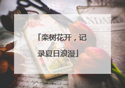栾树花开，记录夏日浪漫