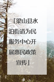 梁山县水泊街道为民服务中心开展惠民政策宣传