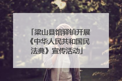 梁山县馆驿镇开展《中华人民共和国民法典》宣传活动