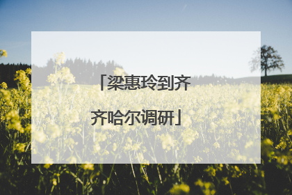 梁惠玲到齐齐哈尔调研