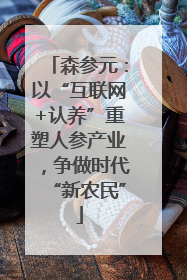 森参元：以“互联网+认养”重塑人参产业，争做时代“新农民”