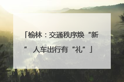 榆林：交通秩序焕“新” 人车出行有“礼”