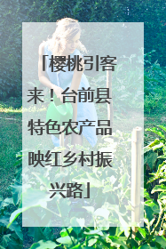 樱桃引客来！台前县特色农产品映红乡村振兴路