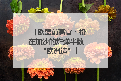 欧盟前高官：投在加沙的炸弹半数“欧洲造”