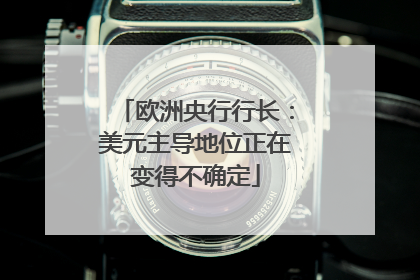 欧洲央行行长：美元主导地位正在变得不确定