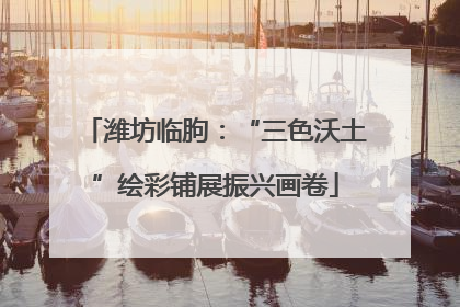 潍坊临朐：“三色沃土”绘彩铺展振兴画卷