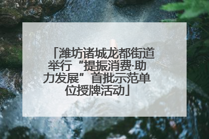 潍坊诸城龙都街道举行“提振消费·助力发展”首批示范单位授牌活动