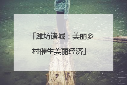 潍坊诸城：美丽乡村催生美丽经济