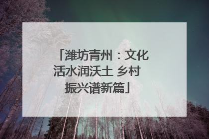 潍坊青州：文化活水润沃土 乡村振兴谱新篇