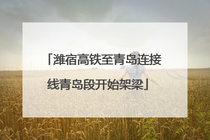 潍宿高铁至青岛连接线青岛段开始架梁