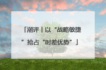 潮评丨以“战略敏捷”抢占“时差优势”