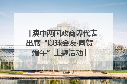 澳中两国政商界代表出席“以球会友·同贺端午”主题活动