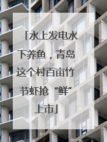 水上发电水下养鱼，青岛这个村百亩竹节虾抢“鲜”上市