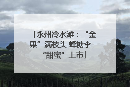 永州冷水滩：“金果”满枝头 蜂糖李“甜蜜”上市