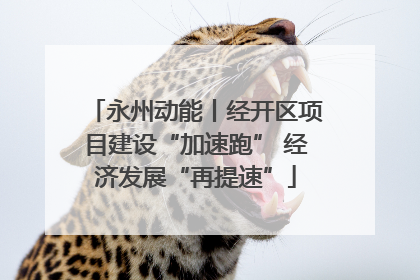 永州动能丨经开区项目建设“加速跑” 经济发展“再提速”