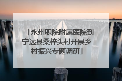 永州职院附属医院到宁远县桑梓头村开展乡村振兴专题调研