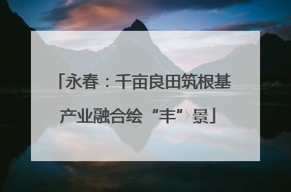 永春：千亩良田筑根基 产业融合绘“丰”景