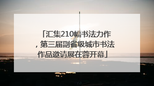 汇集210幅书法力作，第三届副省级城市书法作品邀请展在蓉开幕